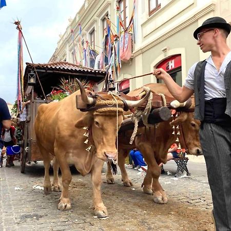 Romantisches Haus In Der Historischen Altstadt Von Orotava 拉奥罗塔瓦 外观 照片